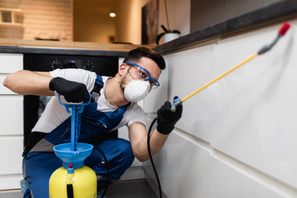 Best Bed Bug Extermination  in Lacy Lakeview, TX