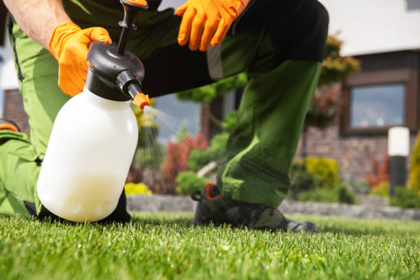 Best Emergency Pest Control  in Lacy Lakeview, TX