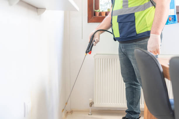 Best Pest Removal Services  in Lacy Lakeview, TX