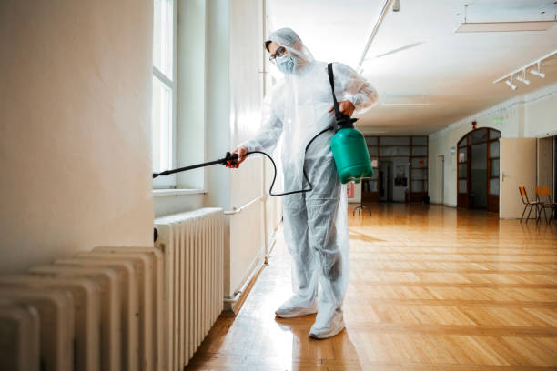 Best Exterminator Services  in Lacy Lakeview, TX