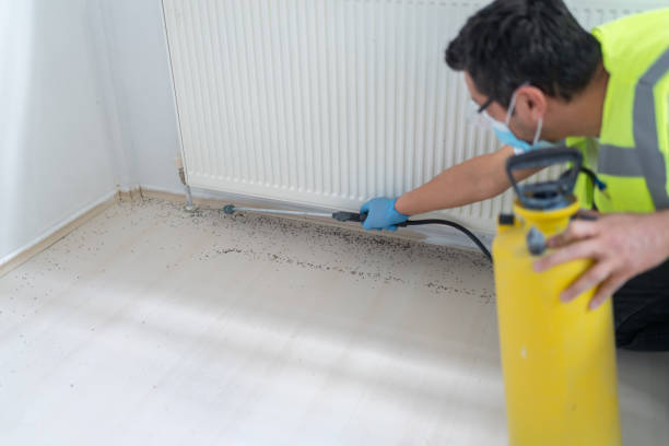 Best Residential Pest Control  in Lacy Lakeview, TX